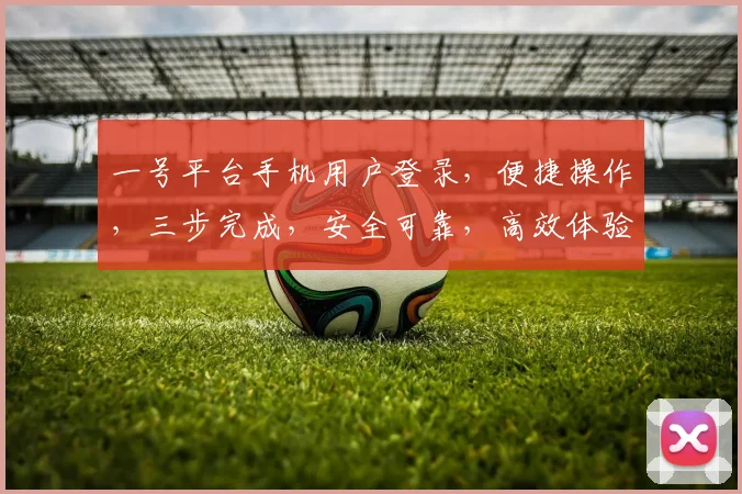 一号平台手机用户登录，便捷操作，三步完成，安全可靠，高效体验