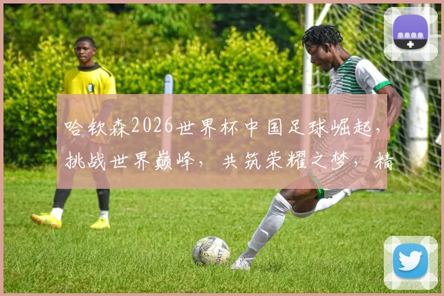 哈钦森2026世界杯中国足球崛起，挑战世界巅峰，共筑荣耀之梦，精彩不容错过