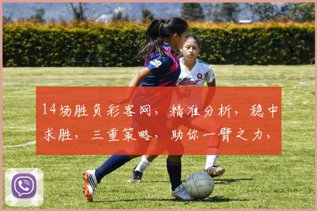 14场胜负彩客网，精准分析，稳中求胜，三重策略，助你一臂之力，轻松夺冠