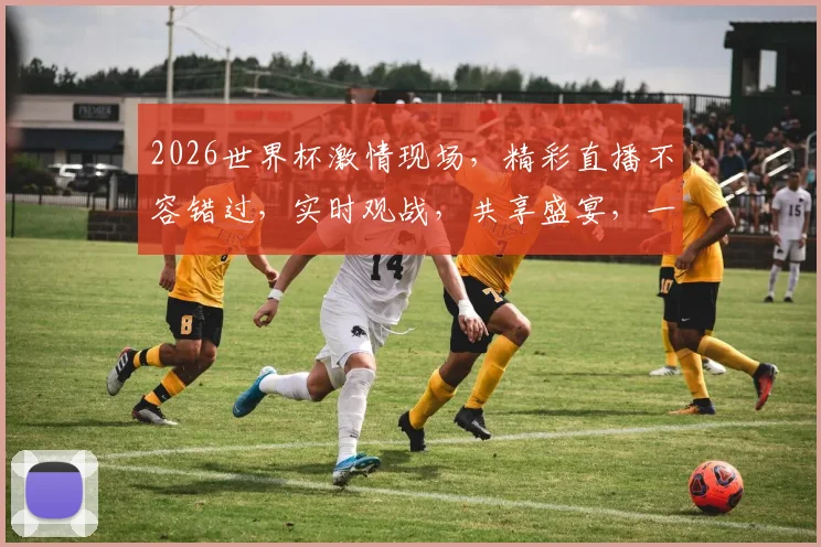 2026世界杯激情现场，精彩直播不容错过，实时观战，共享盛宴，一触即发
